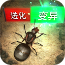 kk体育APP入口