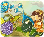 双彩网app官方网站